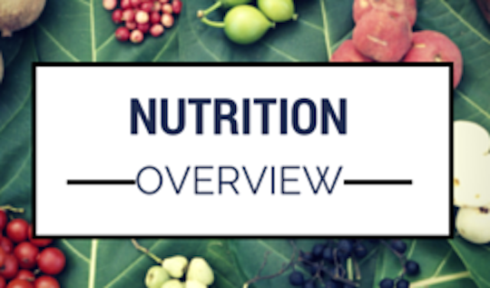 NUTRITION OVERVIEW
