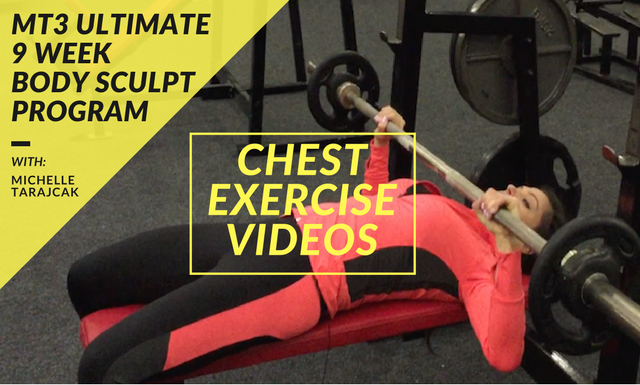 CHEST EXERCISE VIDEOS