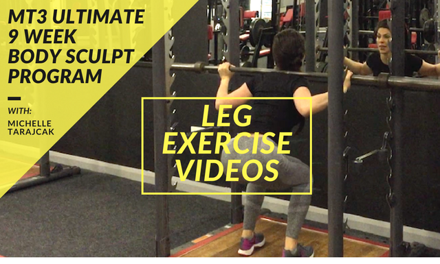 LEG EXERCISE VIDEOS
