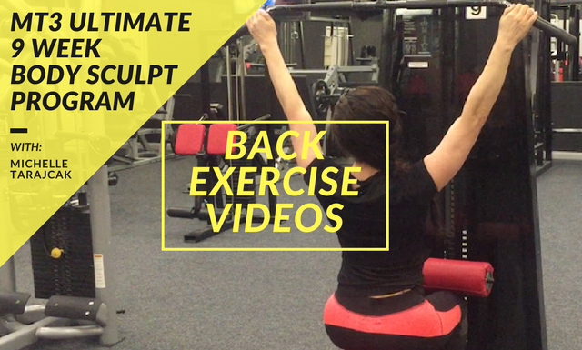 BACK EXERCISE VIDEOS